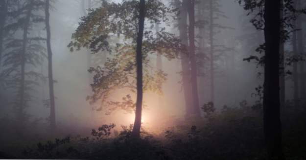 10 Dark Transylvanian Legends Du hittar inte i Dracula (Kuslig)