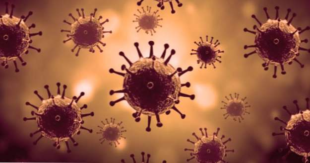 10 virus qui aident réellement l'humanité (Santé)