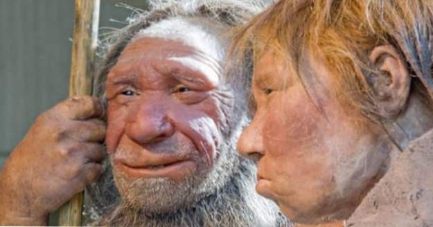 Top 10 erstaunliche neueste Offenbarungen über Neandertaler (Menschen)