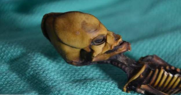 Top 10 nejvíce fascinujících mumifikovaných těl nalezených mimo Egypt (Náš svět)