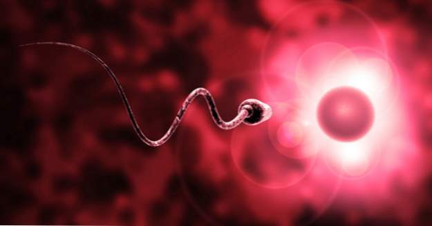 10 Spunky Fakta o spermatu (Lidé)