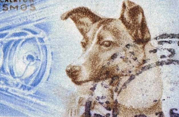 10 tragiske fakta om Laika, den første hund i rummet | Top-10 lister i verden!