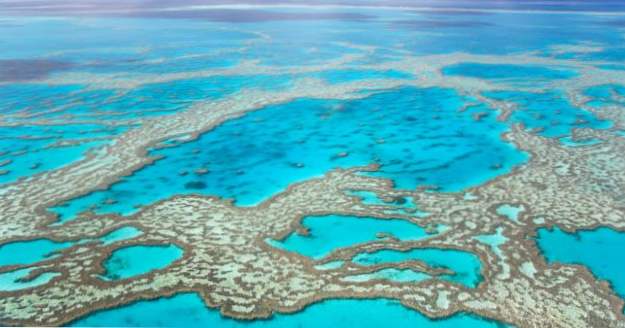Top 10 hechos frescos sobre la gran barrera de coral