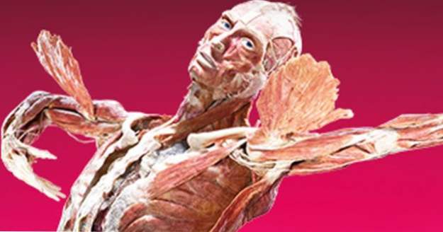 Top 10 způsobů, jak jsme zachovali lidské tělo (Fakta)