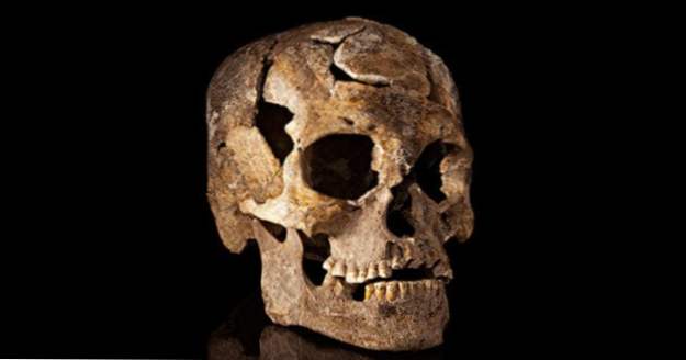 Top 10 Ancient Skulls Revealing Sällsynta Fakta Och Mysterier (Vår värld)