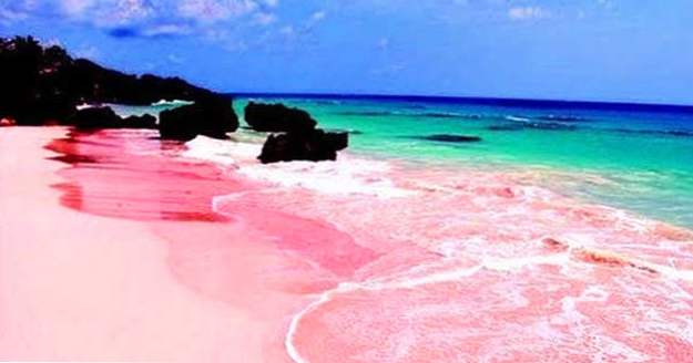 Top 10 de las maravillas rosadas del mundo natural