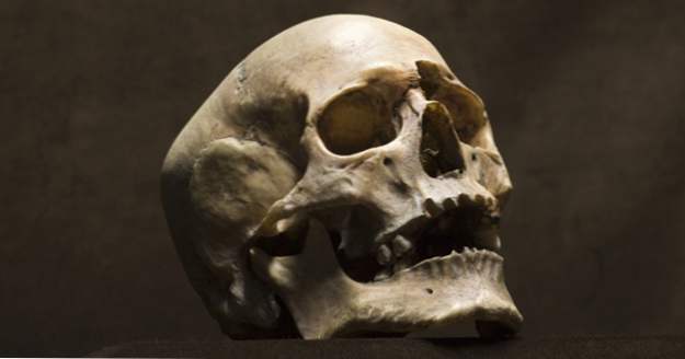 10 fascinerende feiten over het menselijk skelet (feiten)