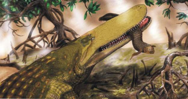 10 Non-Dinosaur Terrors Of The Past (Historia)