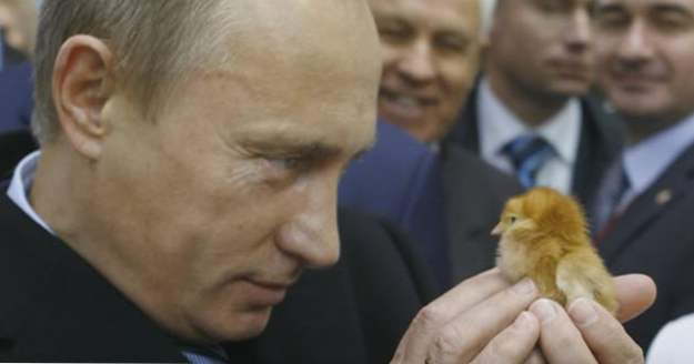 10 unglaubliche Geschichten über Wladimir Putin (Komisches Zeug)