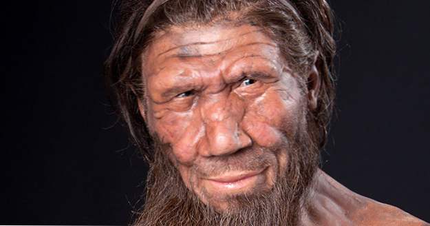 Top 10 faszinierende Fakten über Neandertaler