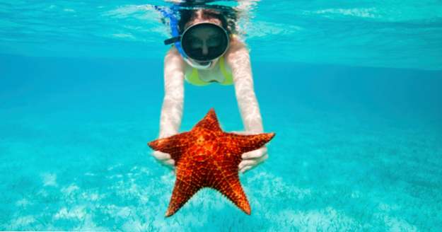 10 Mind-Bending Fakta om Sea Stars (djur)