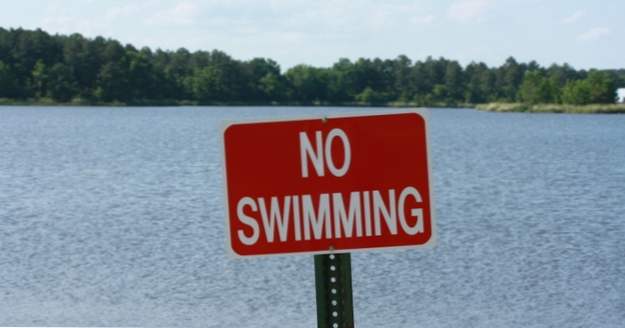 10 lugares que definitivamente no quieres ir a nadar (Nuestro mundo)