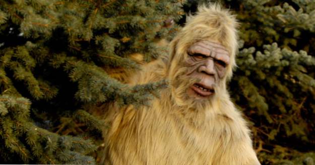 10 Úžasně bizarní Bigfoot teorie