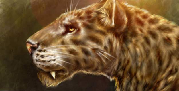10 riesige prähistorische Katzen (Tiere)