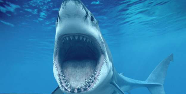 Top 10 mejores y peores películas de tiburones (Peliculas y tv)