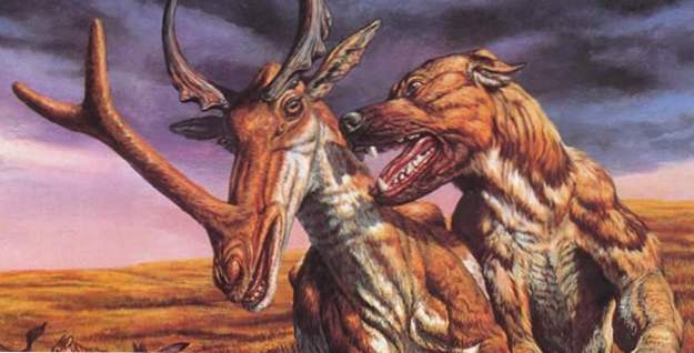 15 skræmmende og lidt kendte forhistoriske monstre (Dyr)