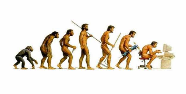 Top 15 misvattingen over evolutie
